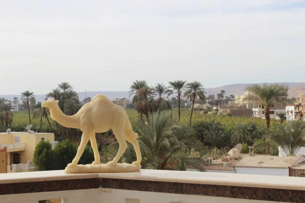 Morning Star Apartment Luxor Egypt